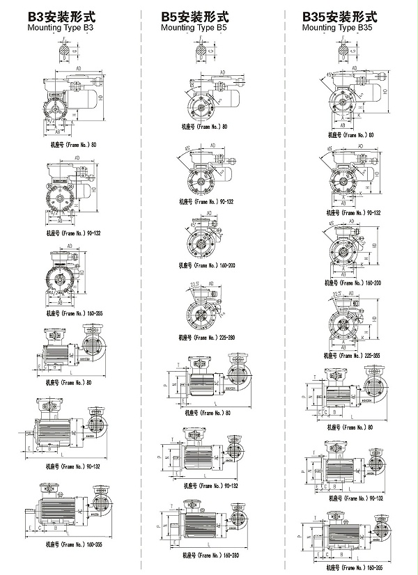 YBBP系列隔爆型变频调速三相异步电动机安装1